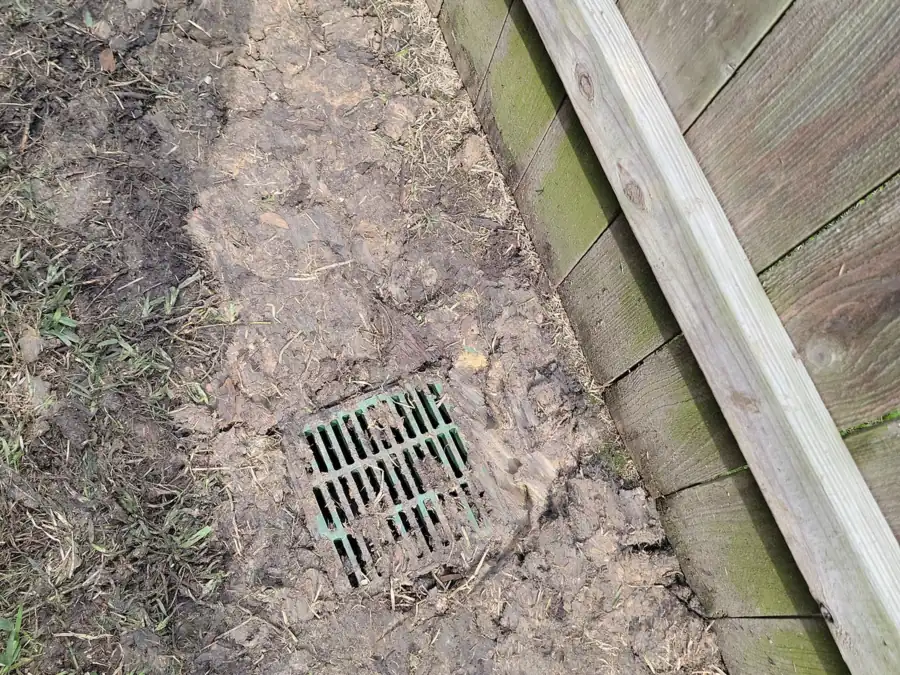 Square drain grate set in bare soil beside a wood fence