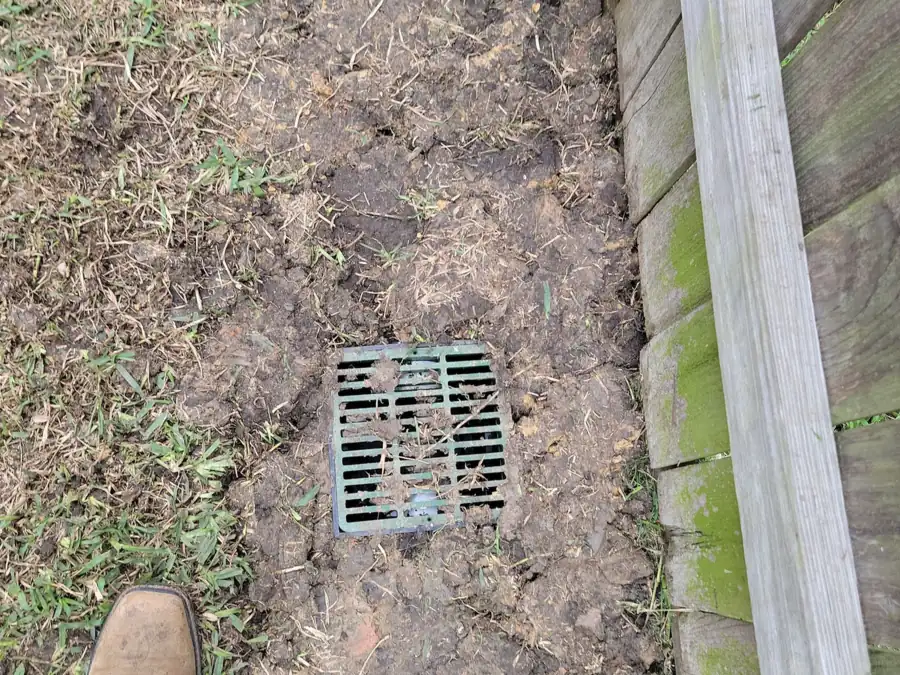 Square green drain grate set in the ground next to a wood fence