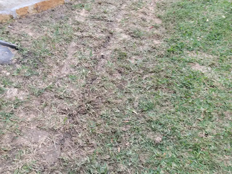 A drain line route beside a stone-edged flower bed ending at a round grate