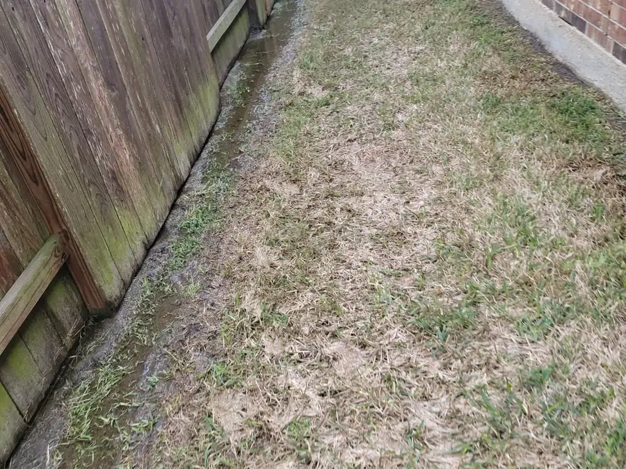 A narrow side yard between a wood fence and a brick wall